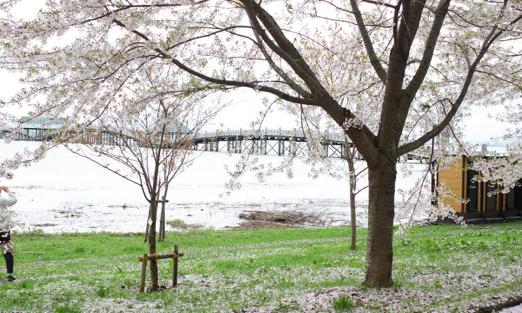 76_turunomaihashi_03