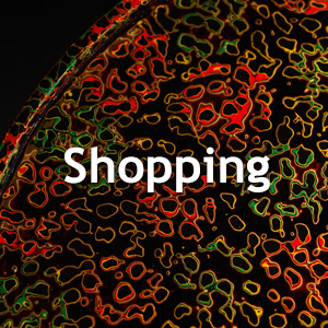 shopping,Crafts,Sake 