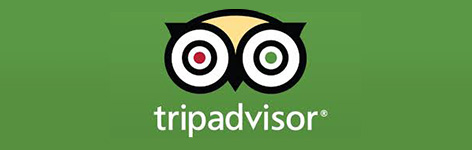 trip adviser