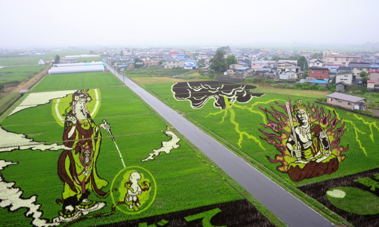 Rice Paddy Art -Inakadate Village-