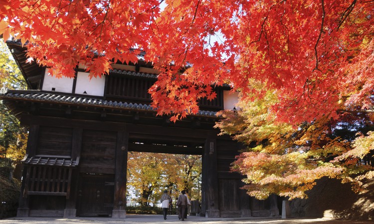 Hirosaki Castle Chrysanthemum and Autumn Foliage Festival