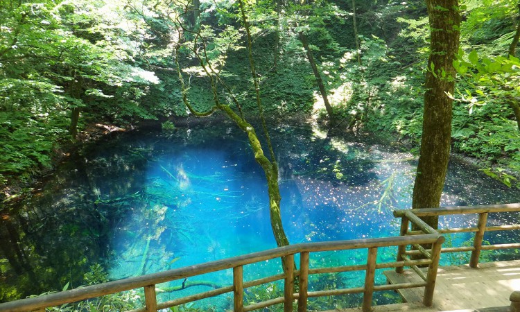 Lake Juniko and Aoike