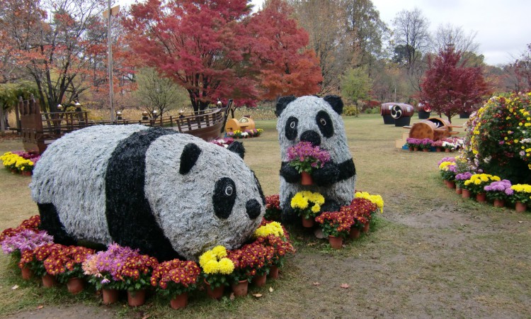 Hirosaki Castle Chrysanthemum and Autumn Foliage Festival 2016