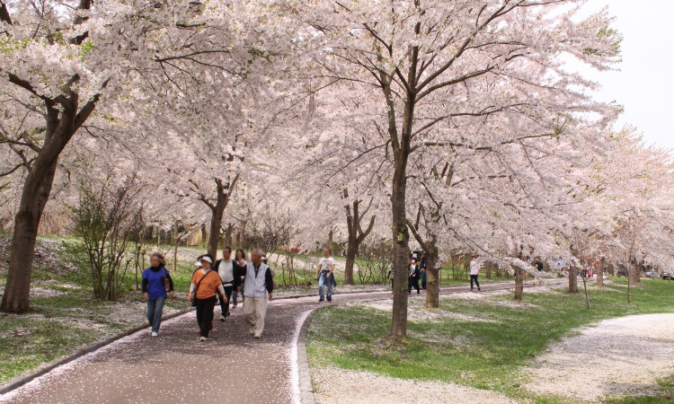 Tsugaru Fujimi Lake Park