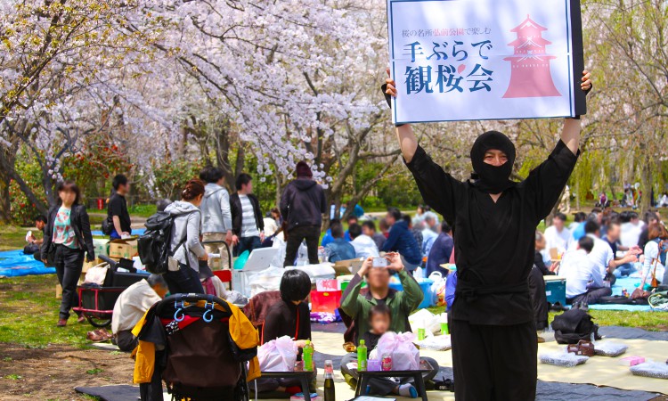 Cherry Blossom Viewing Picnic without Hassle