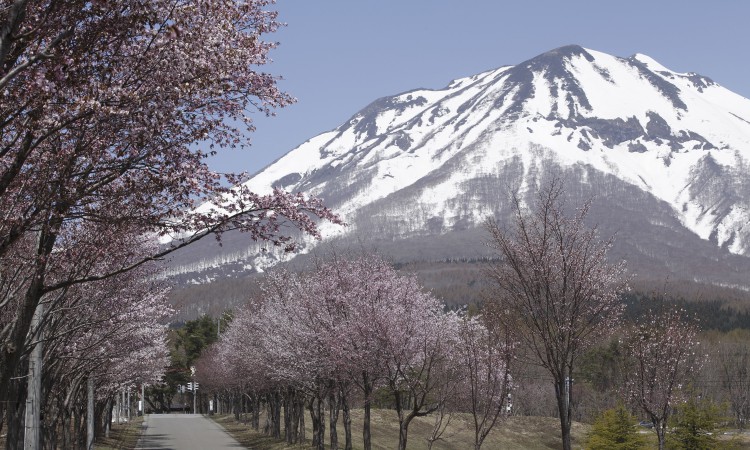 iwaki