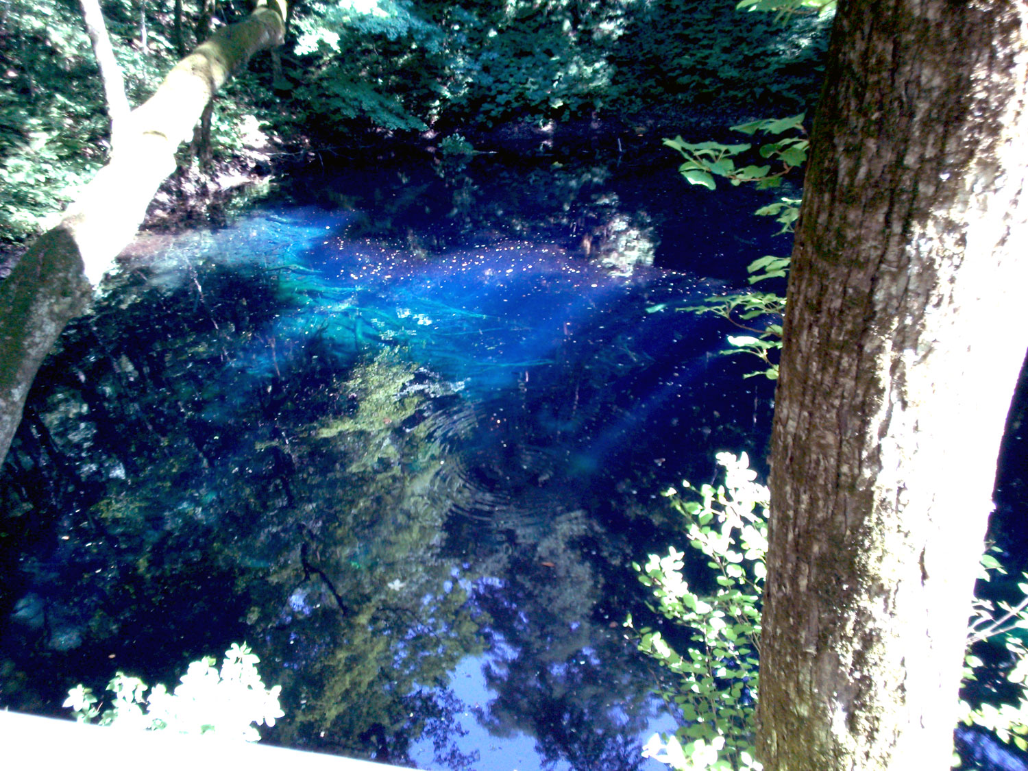 Lake Juniko and Aoike - Fukaura Town