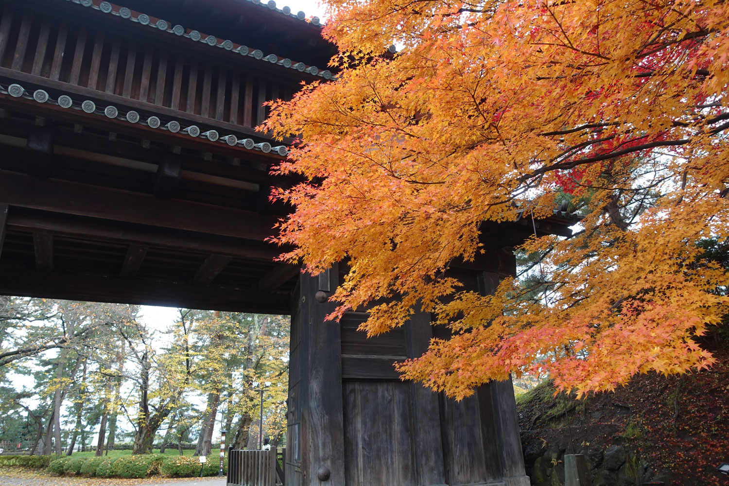 Hirosaki Castle Chrysanthemum and Autumn Foliage Festival (Hirosaki Park)