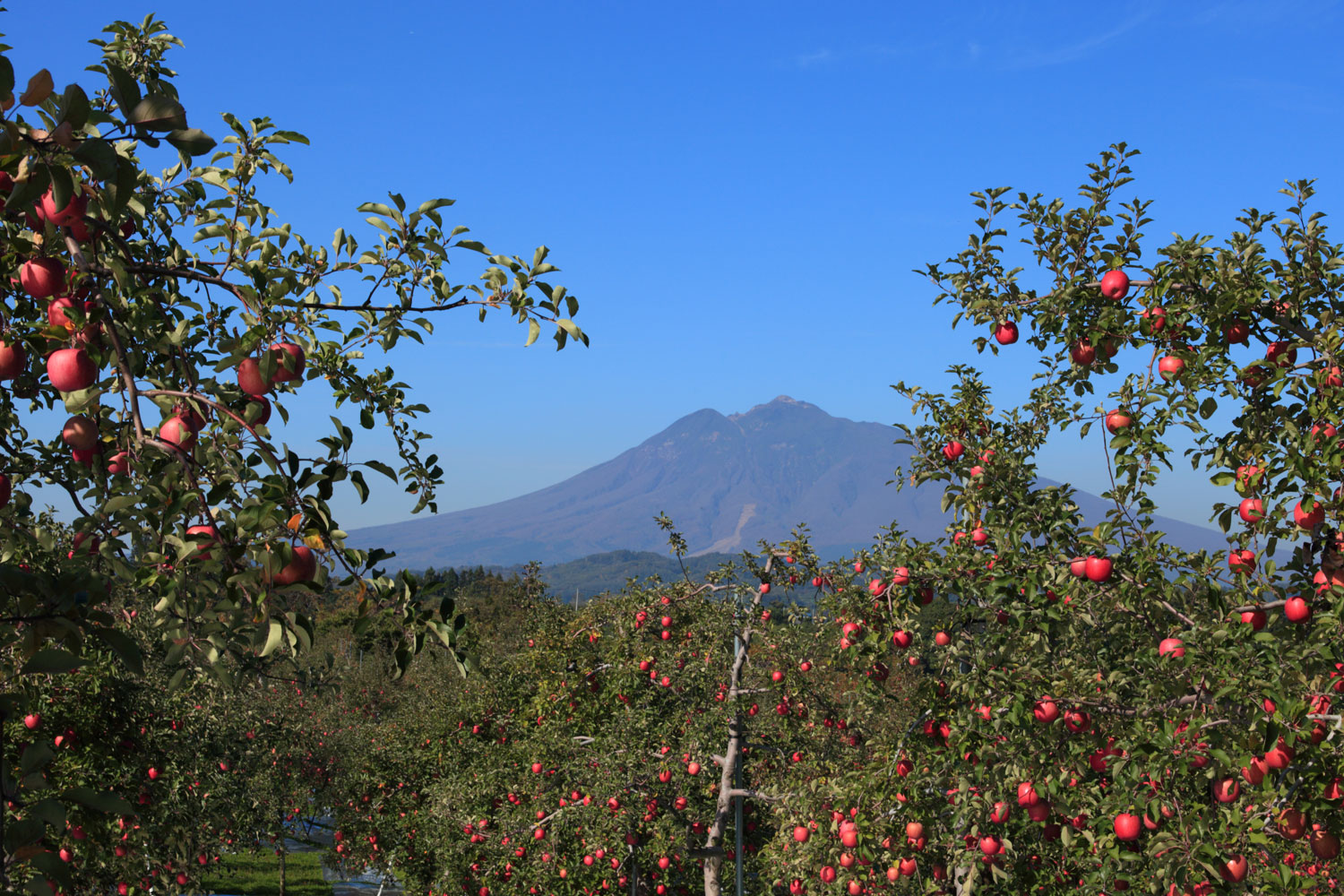 Mount Iwaki